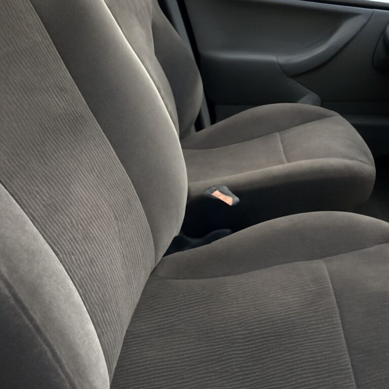 How to Get Mold Out of Car: Safe Removal Methods That Work