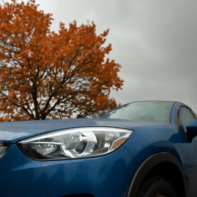 How to Remove Tree Sap From Car Paint Safely and Effectively