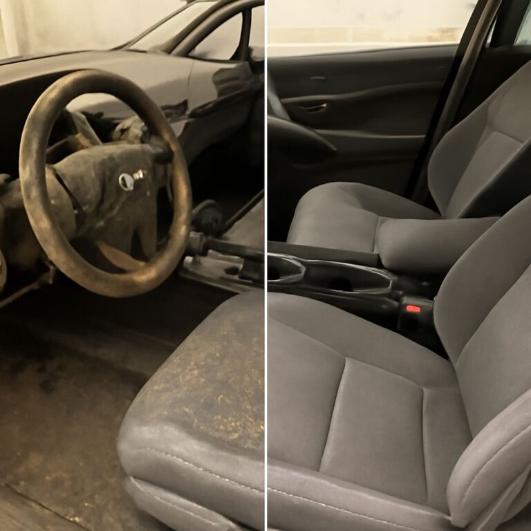 Mold in Car: How to Clean and Remove It Safely