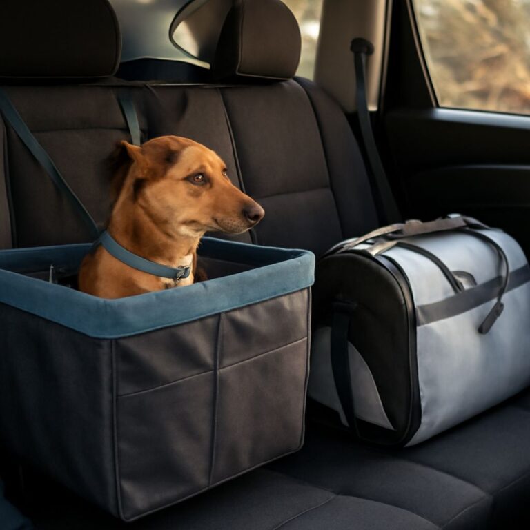 Dog Car Booster Seat Guide: Harness Reviews, Sickness Remedies, and Pet-Friendly Travel