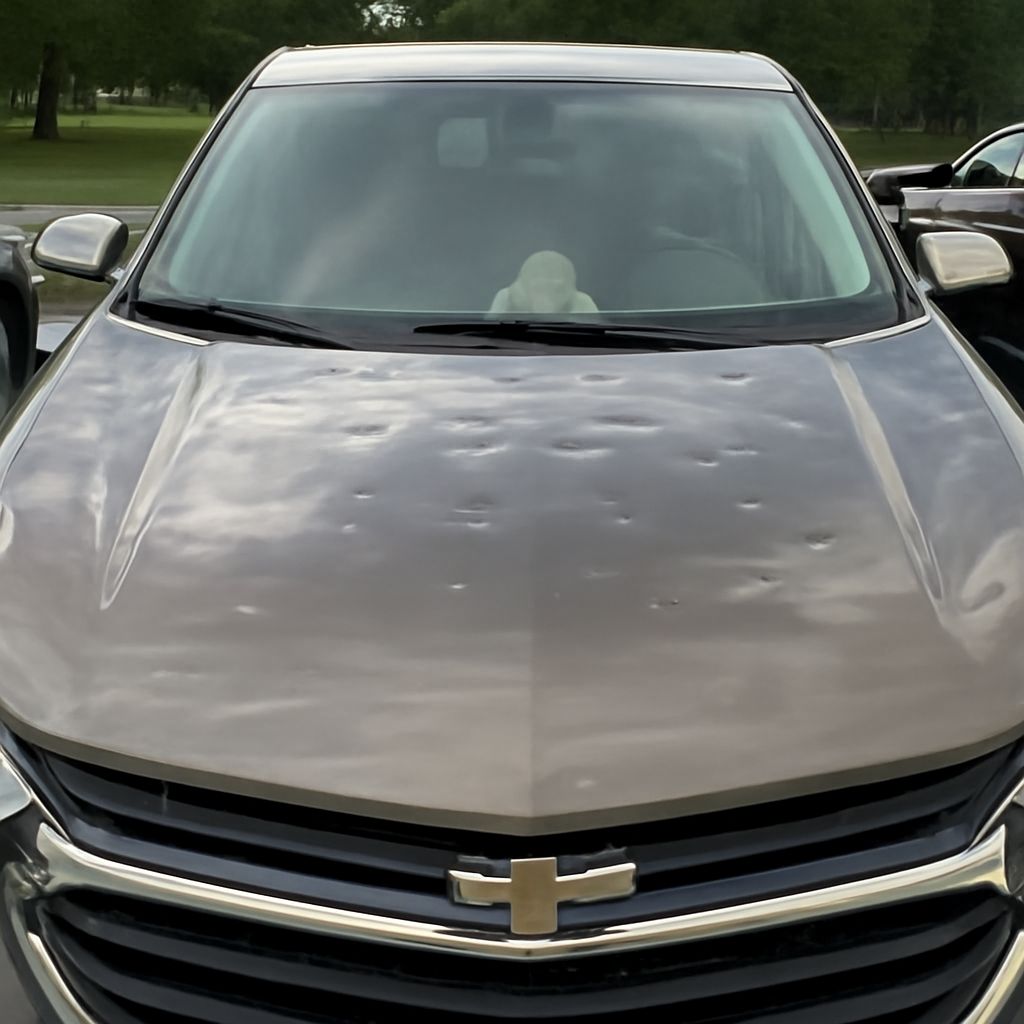 Hail damage car and dented car