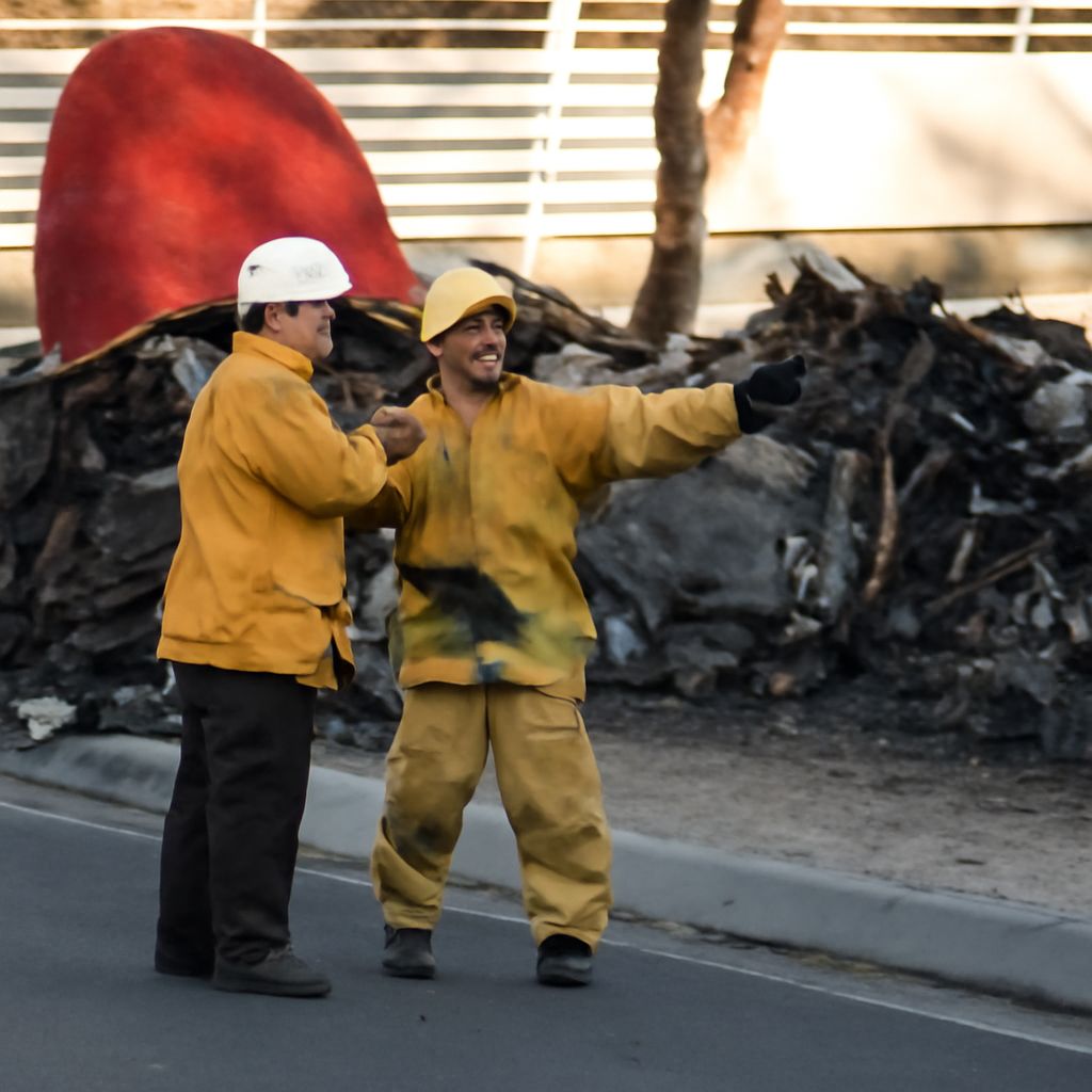 Paul Walker car accident and Brandy car accident insights