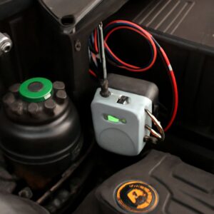 Rodent Repellent for Car Engines: Protect Your Vehicle